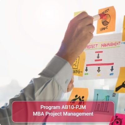 2 MBA Project Management